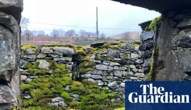 Country diary: Taking the long view of the farm and these fells | Farming