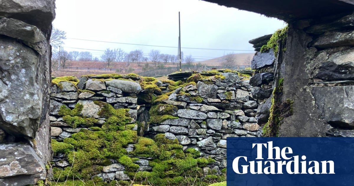 Country diary: Taking the long view of the farm and these fells | Farming