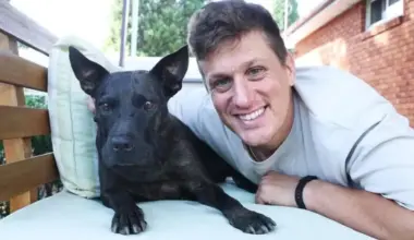 Tech entrepreneur develops AI-designed mRNA vaccine to save dog dying of cancer - World