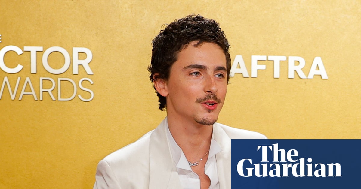 Et tutu, Timothée? Backlash mounts over Chalamet snipes at opera and ballet | Timothée Chalamet
