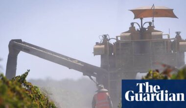 Republican farm bill criticized as agribusiness giveaway: ‘pesticide industry wishlist’ | US news
