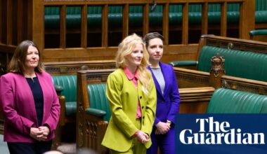 Several Labour MPs in talks with Greens about defecting to the party, sources say | Green party
