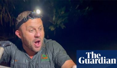 Disbelief as crocodile captured in Newcastle creek thousands of kilometres from natural habitat | Crocodiles