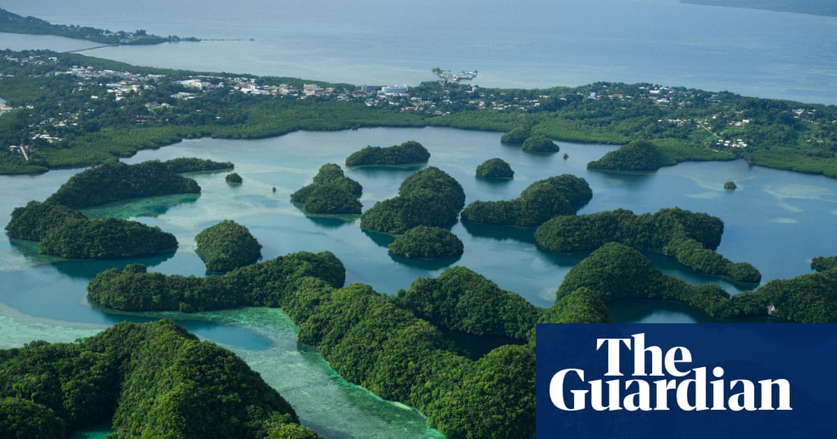 UK slashes climate aid programmes for developing countries | Climate crisis