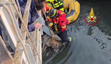 Video Player Placeholder