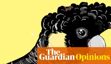A scorching summer has left Australian wildlife on the brink, but it doesn’t have to be this way | Euan Ritchie and Jess Harwood