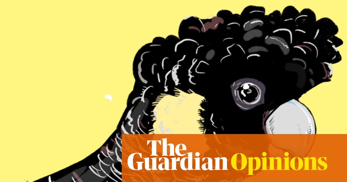 A scorching summer has left Australian wildlife on the brink, but it doesn’t have to be this way | Euan Ritchie and Jess Harwood