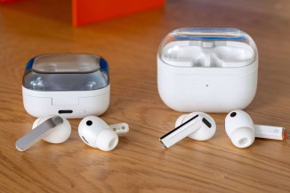 The new buds next to the old buds