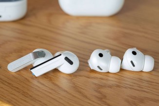 The new buds next to the old buds