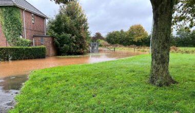 'Biodiversity' blamed as council fails to tackle beauty spot flooding