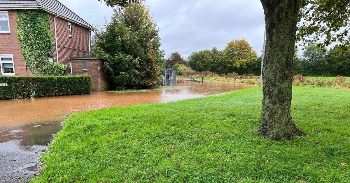 'Biodiversity' blamed as council fails to tackle beauty spot flooding