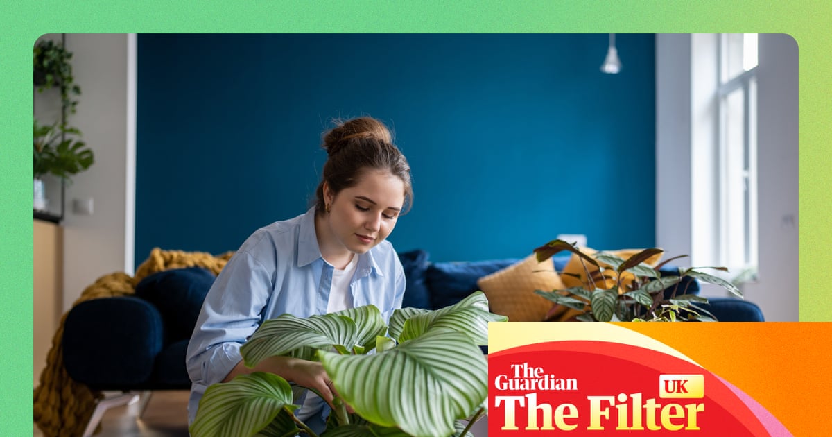 The best places to buy plants online, according to top gardeners and landscape designers | Gardens