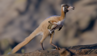 Artist's conception of a small dinosaur covered in fluffy tan feathers.