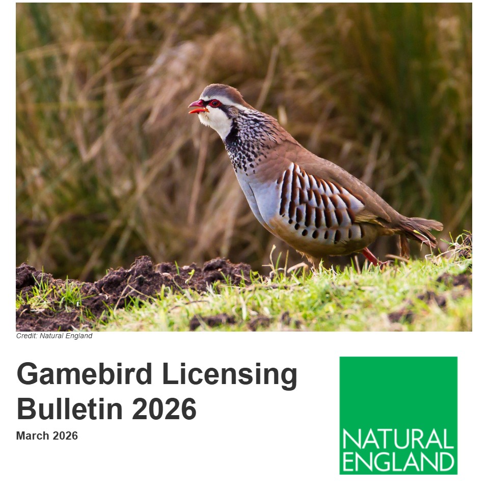 Natural England confirms tighter restrictions on gamebird releases on/near to Special Protection Areas in England – Raptor Persecution UK