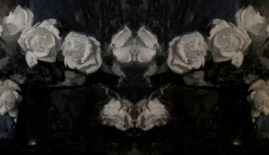 Review: Monosphere - Amnesia - The Progressive Subway