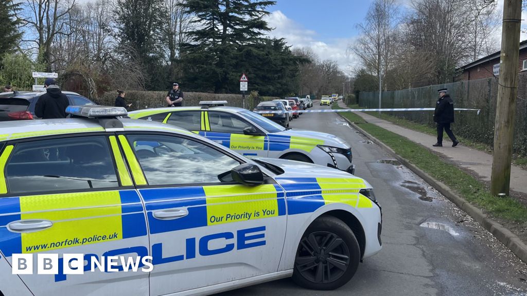 Boy charged over stabbing of teen girl at school near Norwich - BBC