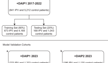 Leveraging multimodal machine learning for accurate risk identification of intimate partner violence
