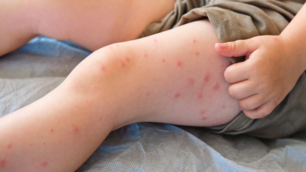 Manchester Evening News