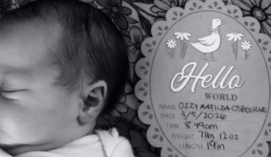 Video Player Placeholder