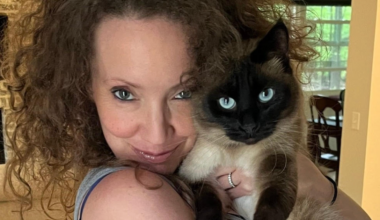 Estate Planning For Pets: We Put Our Cats In Our Will