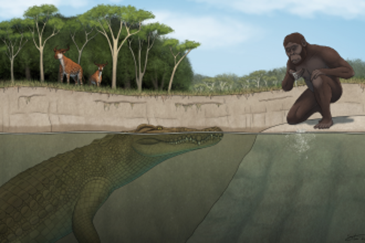 Scientists discover half-tonne, 15ft giant crocodile that hunted our ancestor ‘Lucy’