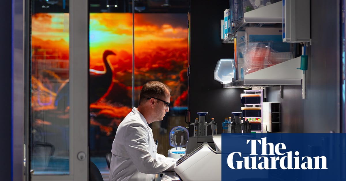 Can scientists really resurrect the dodo? Inside the company that says they can | US news