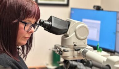 B.C. hires more than 400 U.S. health-care workers in 1-year recruitment blitz