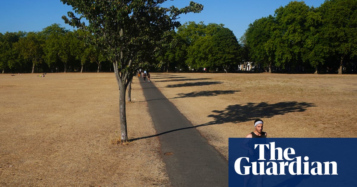 Reduced physical activity due to global heating will lead to rise in health issues, study says | Climate crisis