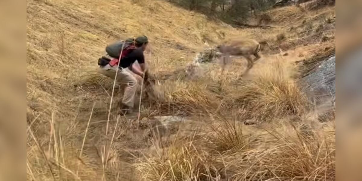 Wild Animal Tangled Up In Trash Relaxes In Man's Hands During 'Magic' Rescue