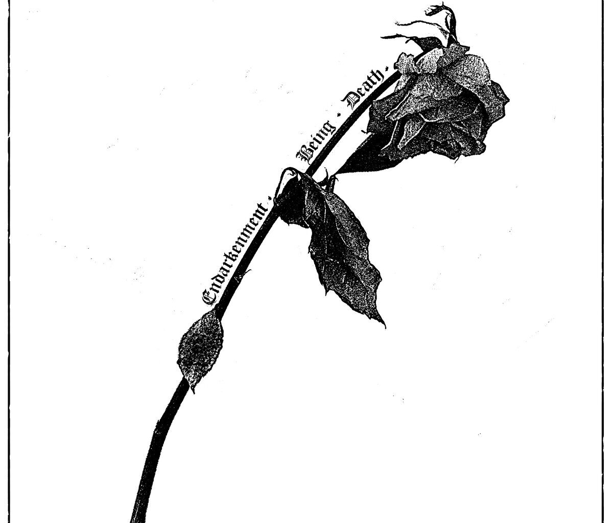 Review: Speglas - Endarkenment, Being & Death