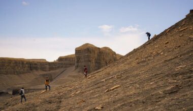 University of Utah student launches app to get people outside, boost connectedness