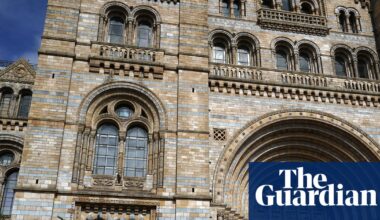 Natural History Museum tops UK attraction list with record visitors | Natural History Museum