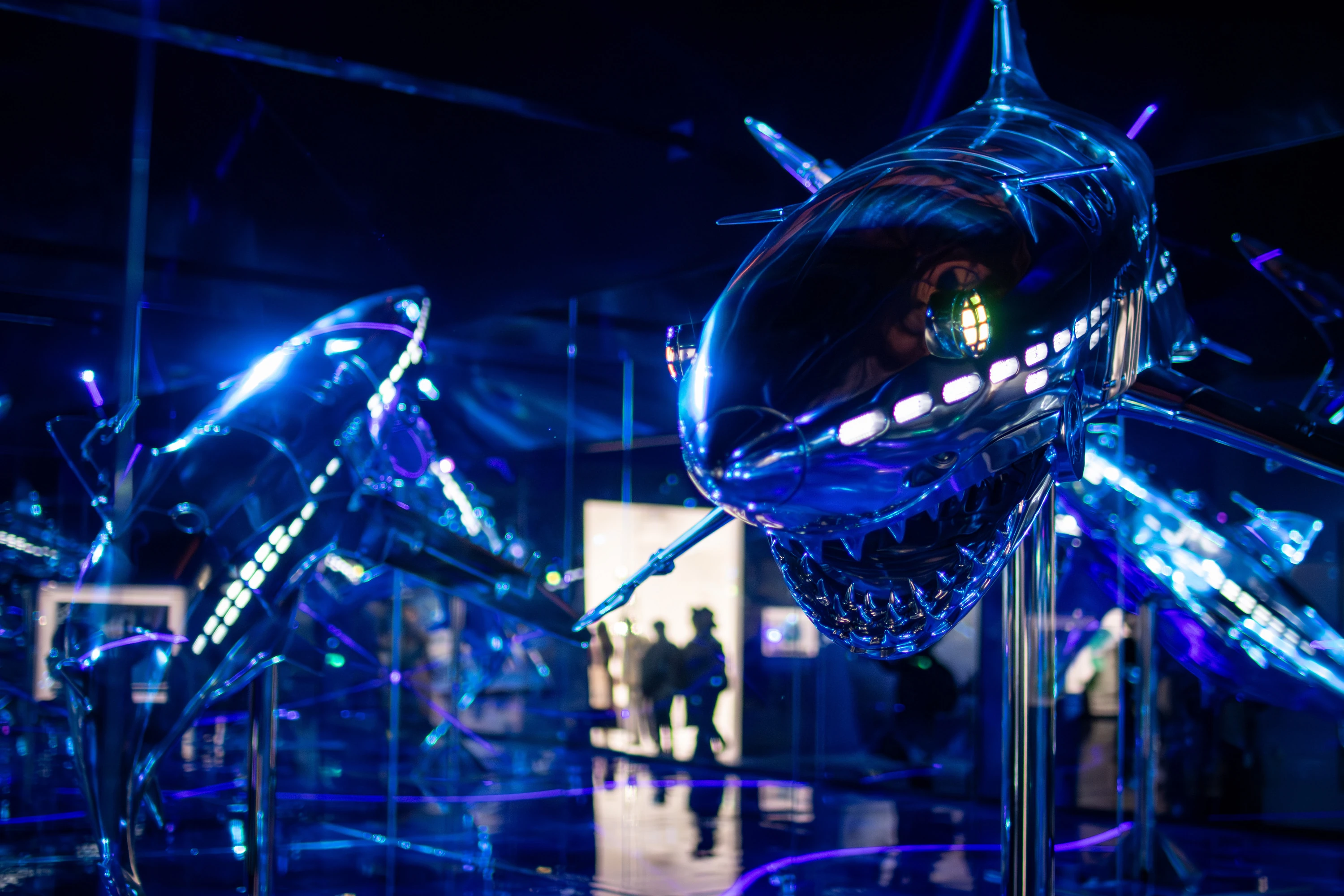 Sorayama: Light, Reflection, Transparency –Tokyo–