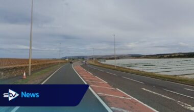 Woman dies and four others injured in two-car crash on A1