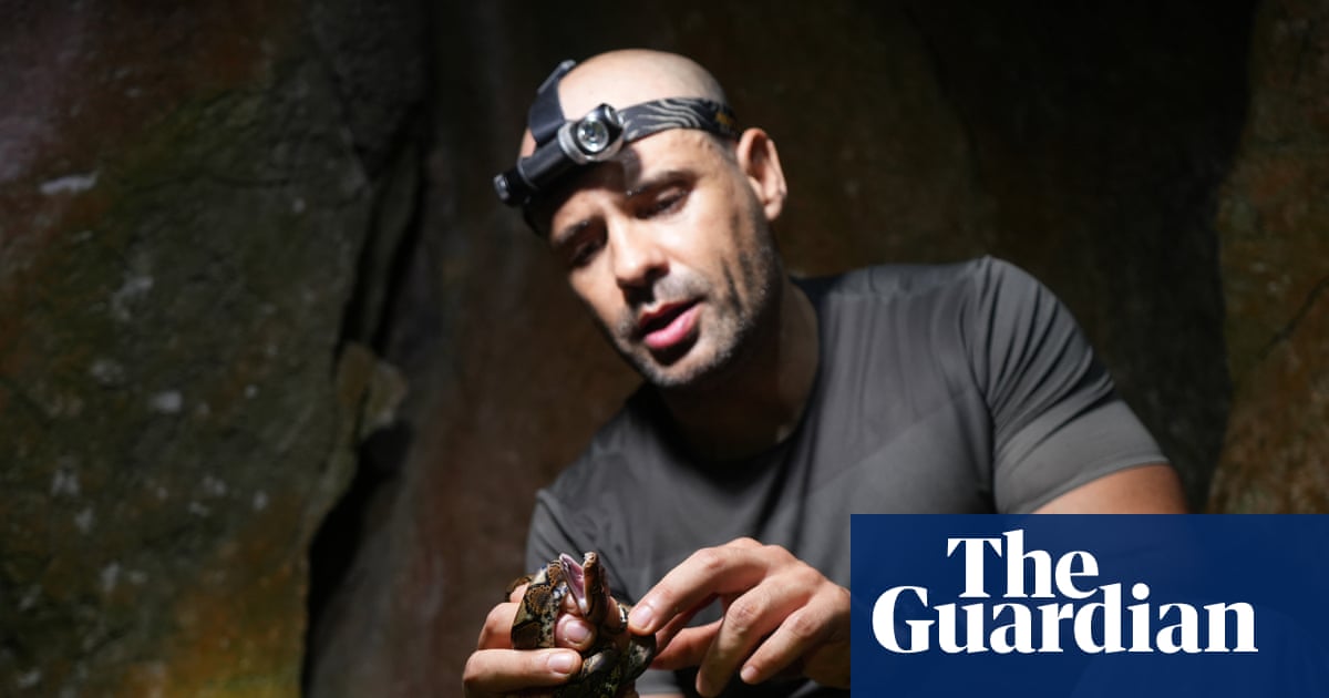 I discovered three new geckos in Cambodia’s limestone caves – and that’s not all we found | Cambodia