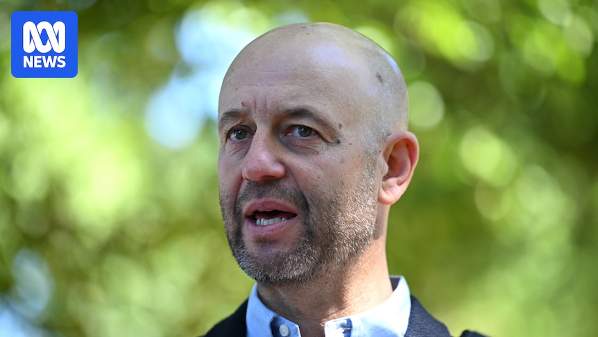 Cricket Australia boss Todd Greenberg says New Zealand's BBL rejection is not a surprise