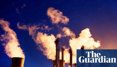 ‘Doge of the left’ could save UK taxpayers up to £30bn, says new green thinktank | Politics