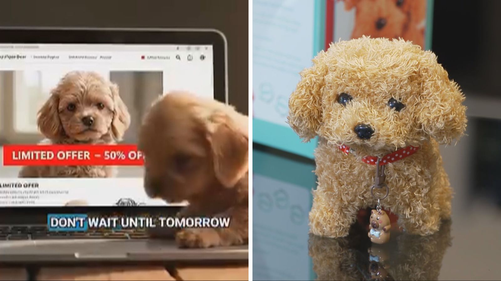 ‘Robot puppy’ Facebook ad banned by watchdog as customers report being misled by AI content
