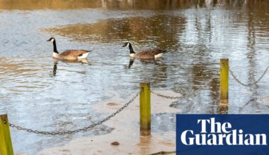 Sewage released into England’s rivers and seas nearly 300,000 times last year | Water