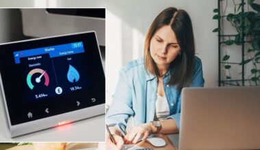 Britons could overpay next month unless YOU complete one 'simple' smart meter task