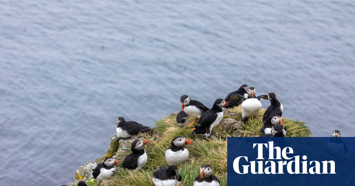 ‘A kaleidoscope of colour and life’: readers’ favourite UK spring days out | United Kingdom holidays