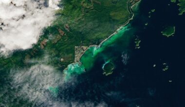 Satellite Spots a Spawn - NASA Science