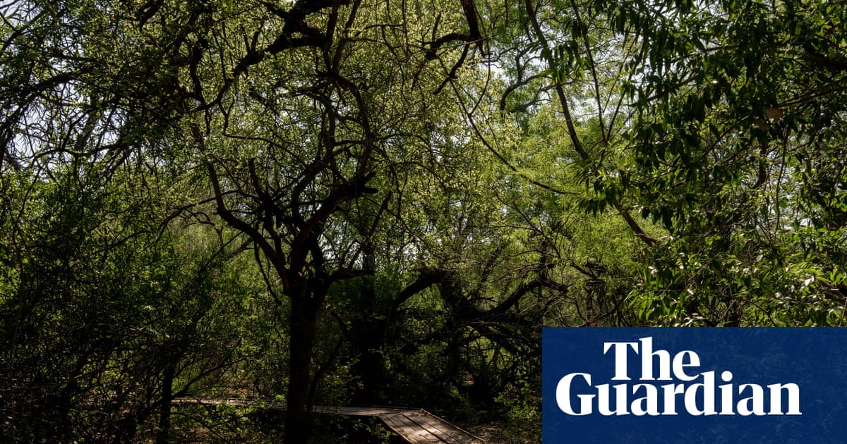 How weaving, glamping and kayak tours are helping to tackle deforestation in Argentina’s Gran Chaco | Global development