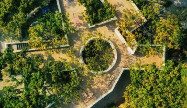 Building with Trees: Rethinking Architecture’s Relationship to Site