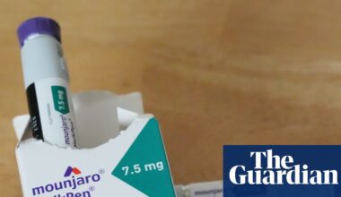 Mounjaro maker wants NHS drug price rises in return for more investment in UK | Pharmaceuticals industry