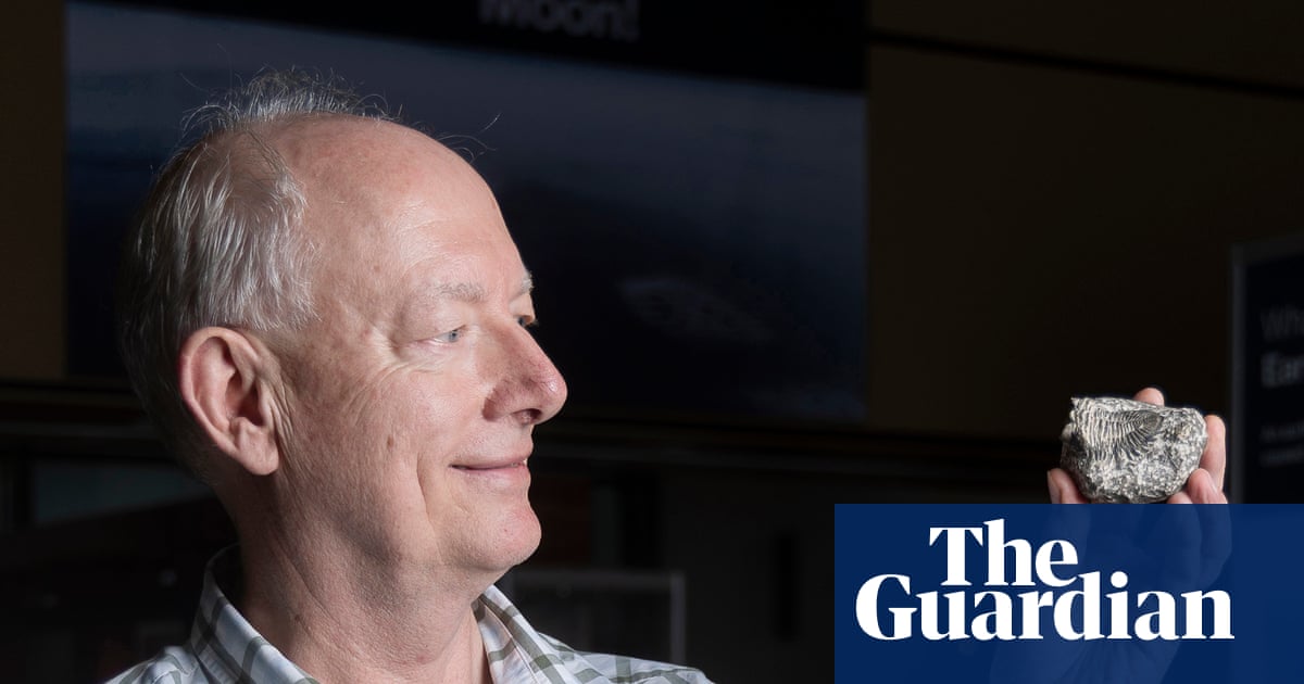 A new start after 60: I’d had several careers but no degree – then I became a palaeontologist at 62 | Life and style