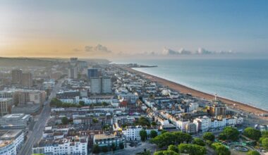 Catfish found on Brighton Beach in 'unusual' rescue