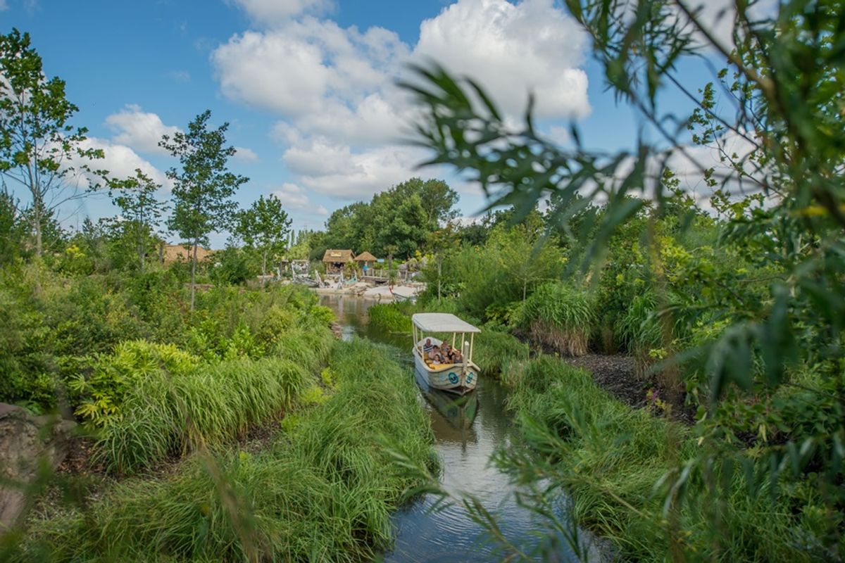 Chester Zoo is the UKs top zoo and third best in Europe, according to new Tripadvisor rankings