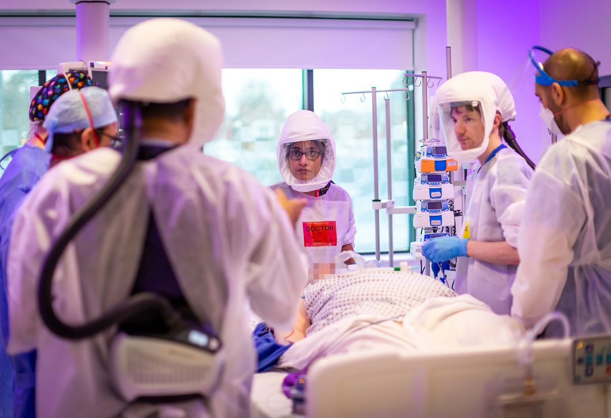 Cicada is an offshoot of the Omicron subvariant