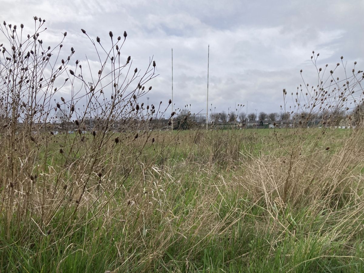 General views of the new wildlife areas at Johnny Whiteley Park in Hull